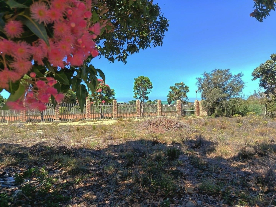 3 Bedroom Property for Sale in Fisherhaven Western Cape